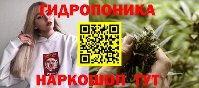 скорость Кинель