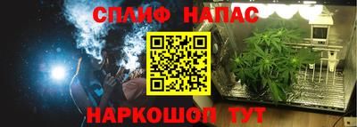 круглые Кингисепп