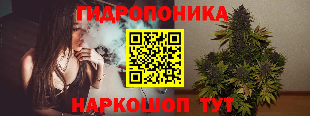 Каннабис тримм  Вход с VPN  Вязники  Бошки Шишки индика  Марихуана White Widow 